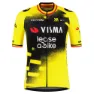 Tvl Team Visma Lease A Bike Replica Wingbeat Wout Van Aert Korta ärmar Cykeltröja