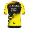 Tvl Team Visma Lease A Bike Replica Wingbeat Wout Van Aert Korta ärmar Cykeltröja