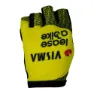 Tvl Team Visma Lease A Bike Tdf25 Replica Handskar