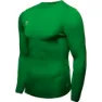 Fern green