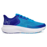 Under Armour Charged Rogue 5 Löparskor male