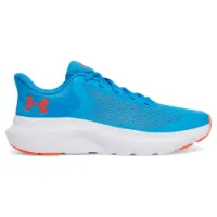 Under Armour Rogue 5 Löparskor male