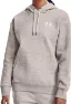 Ghost Gray