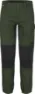 Kombu green