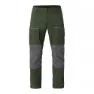 Kombu Green