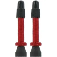 VAR 2 Alloy Presta Ventiler