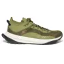 Sphagnum green 2