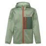 Willow green