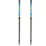 Viking Ruten Pro Stavar, Blue / lime, One Size