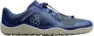 Insignia Blue