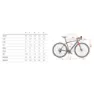 Wilier Jareen Grx Rd-rx400 2025 Gravelcykel