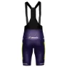 Wilier Vittoria Shorts