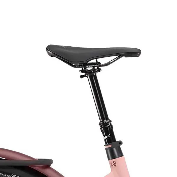 Winora Iride Pure Rf Mid 2024 Elcykel