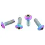 Wolf Tooth Titanium Low Profile Flaskhållar Skruvar 4 Enheter, Rainbow, One Size