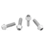 Wolf Tooth Titanium Standard Head Raw Flaskhållar Skruvar, Silver, One Size