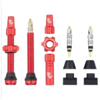 Wolf Tooth Tubeless Ventiler 60 Mm