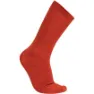Autumn Red