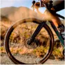 WTB Czr I23 700c Tcs 2.0 Fälg, Black, 700 - 24H