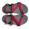 Xero Shoes Z-trail Sandaler