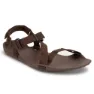 Brown 2