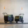XLC Bs-c12 L Hundtrailer, Green / black, Max 60kg