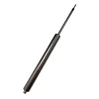 XON 100 Mm Patron