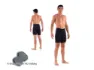 Xtreme X-Basic Shorts