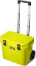 Firefly Yellow