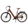 Youin You-ride Viena Elcykel, Brown, One Size, 250Wh