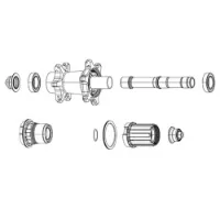 ZIPP Fjäder-och Spärrhake-kit För Zr1-nav 6 Enheter ZIPP Fjäder-och Spärrhake-kit För Zr1-nav 6 Enheter