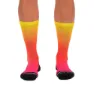 Zoot Team Fade Strumpor